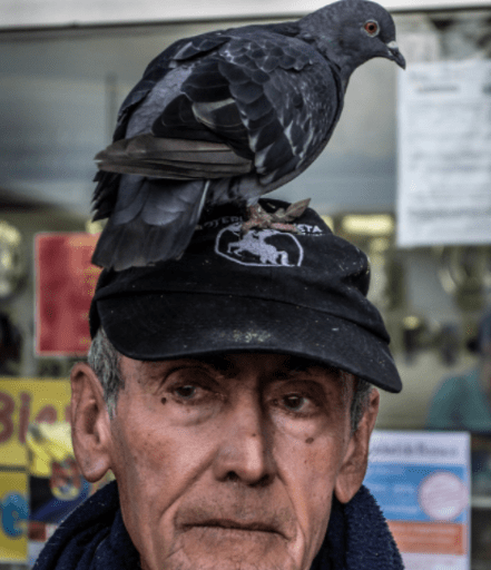 Screen Shot 2017-07-18 at 1.33.58 PM