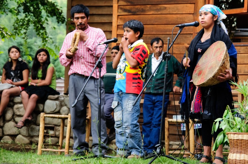 chile_nikon_mapuche_d300_curarrehue-312078